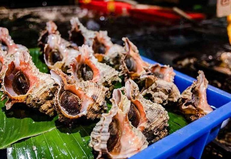 ốc hấp xã ơt