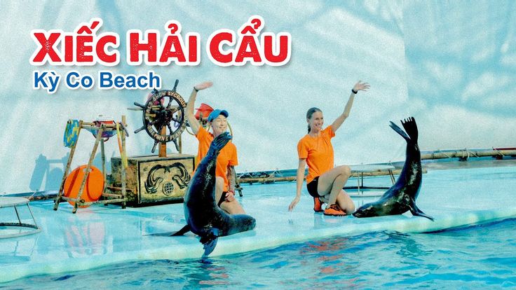 xiếc hải ẩu kỳ co